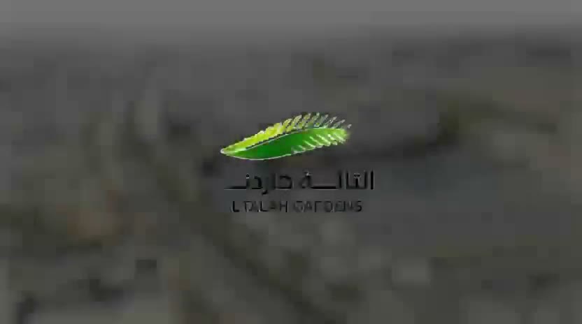  الفيديوهات