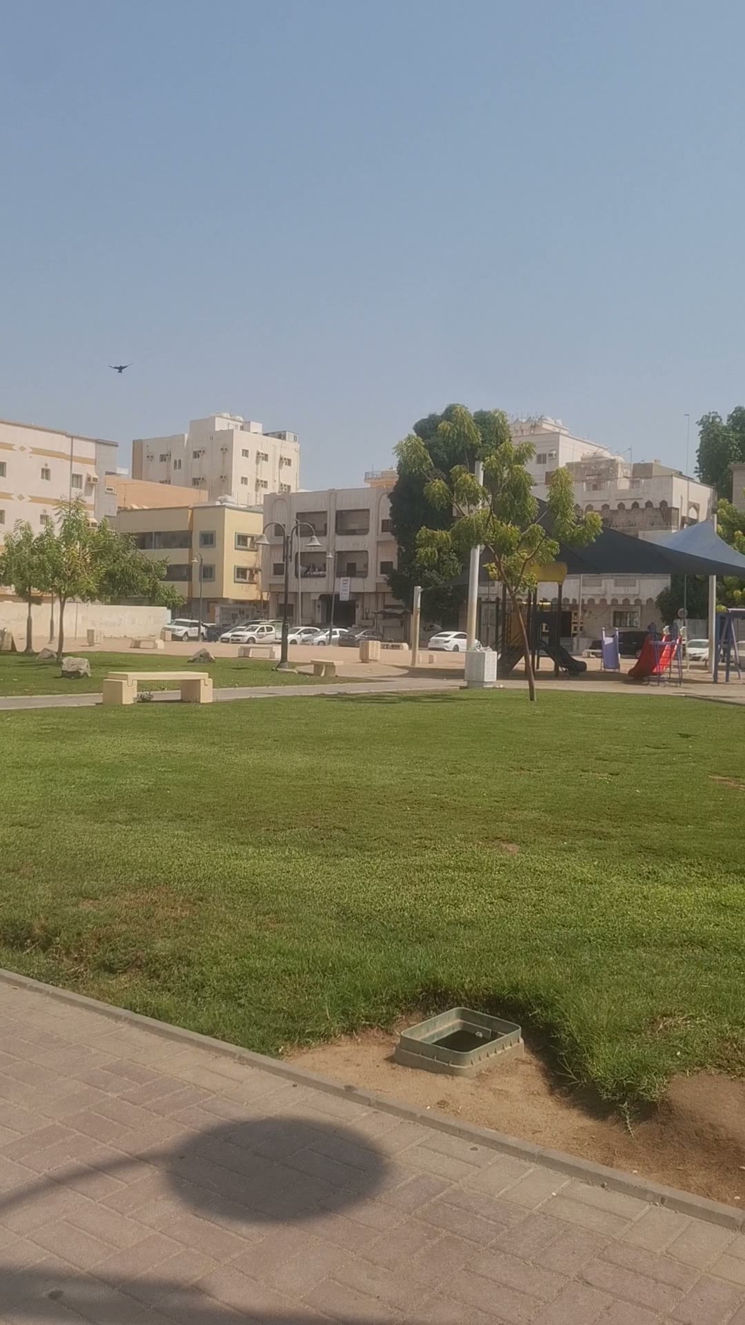  الفيديوهات