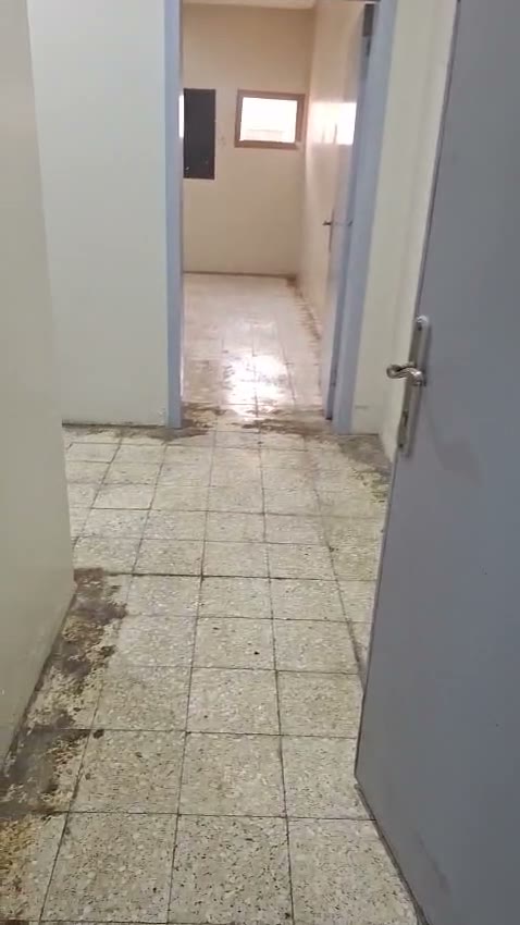 Videos