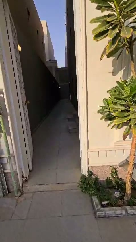  الفيديوهات