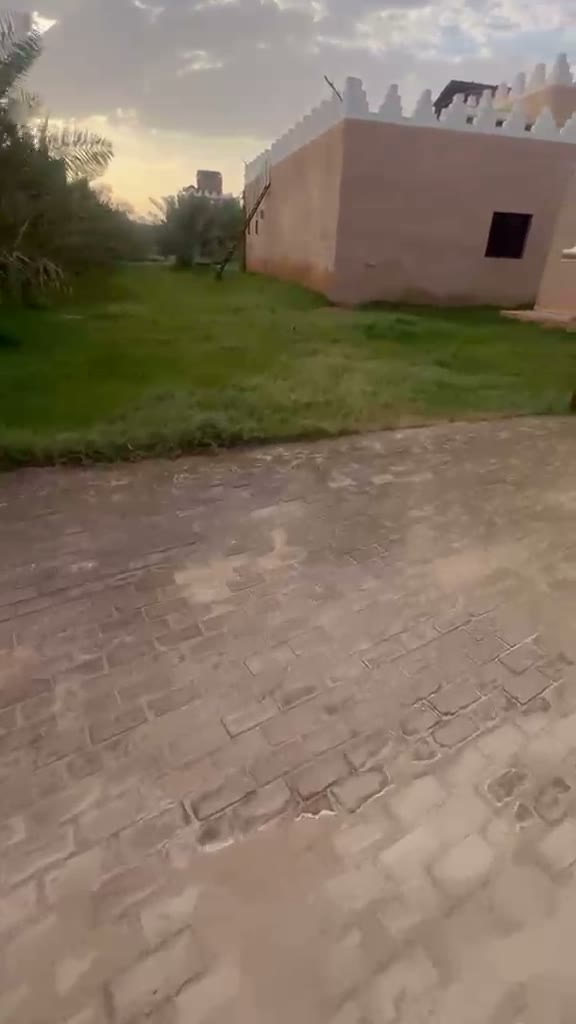 Videos