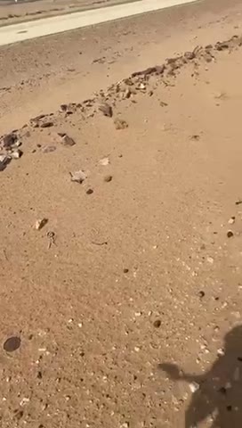  الفيديوهات
