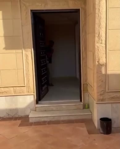 Videos