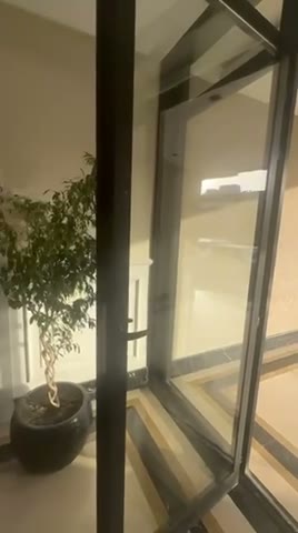 Videos