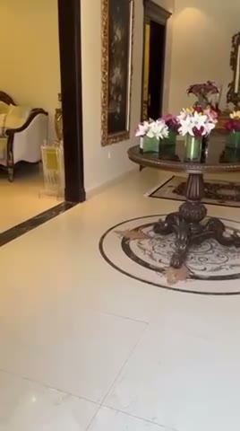 Videos