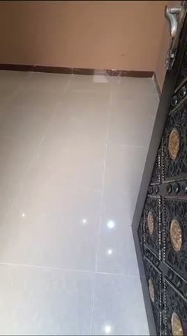 Videos
