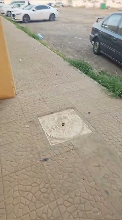  الفيديوهات
