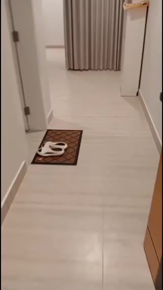Videos