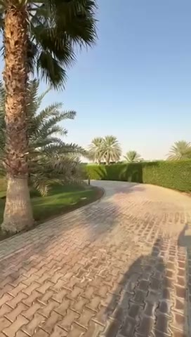  الفيديوهات