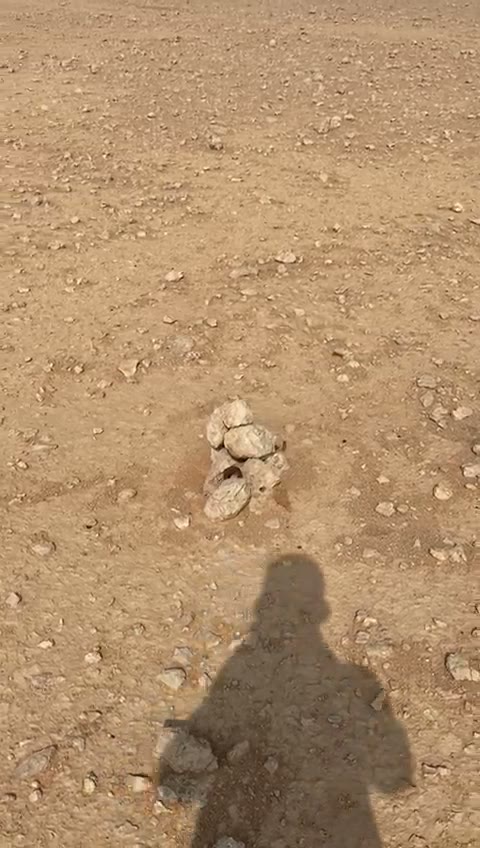 Videos