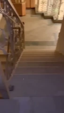 Videos