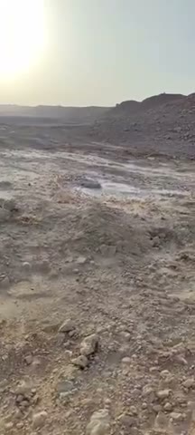 Videos