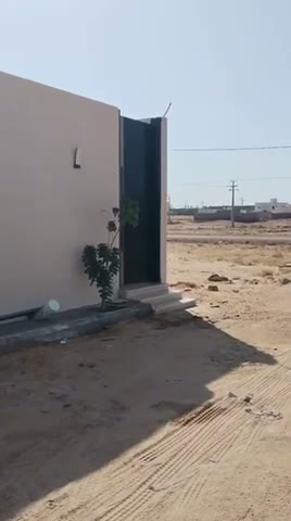 Videos