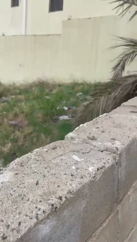 Videos