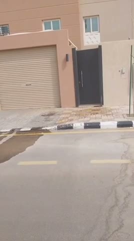 Videos
