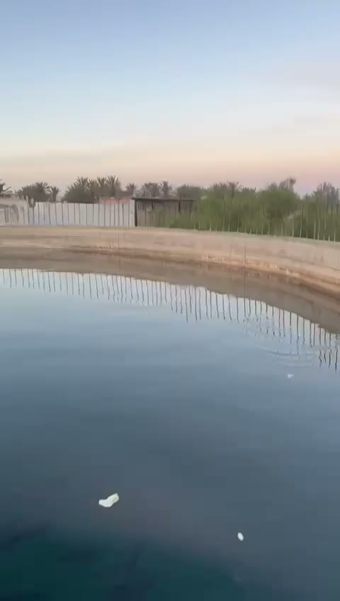  الفيديوهات