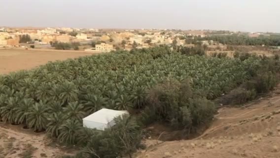  الفيديوهات
