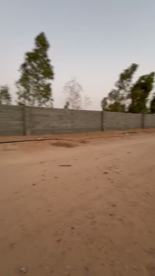 Videos
