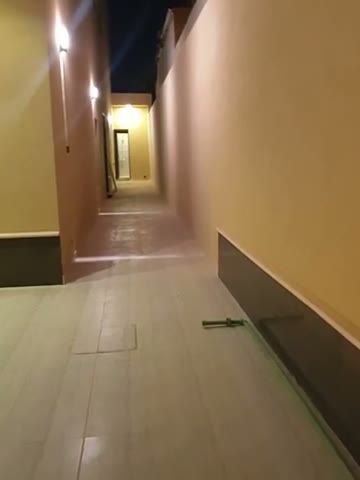  الفيديوهات