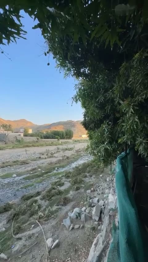 Videos