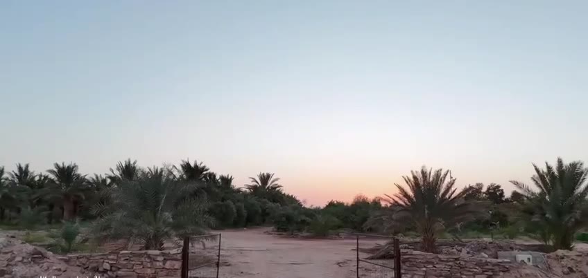  الفيديوهات