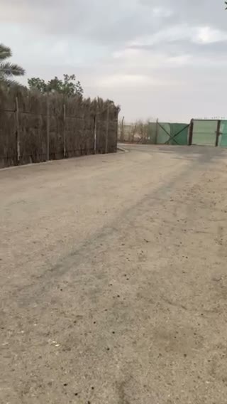  الفيديوهات