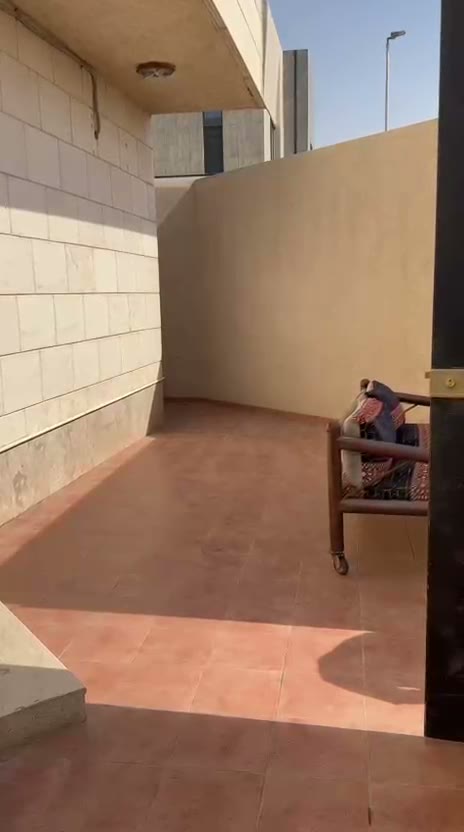  الفيديوهات