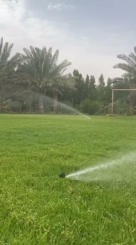  الفيديوهات