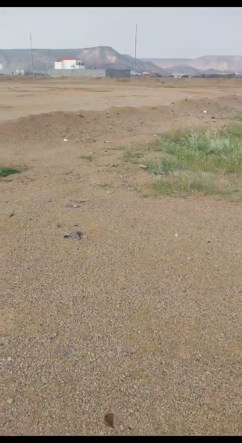 Videos