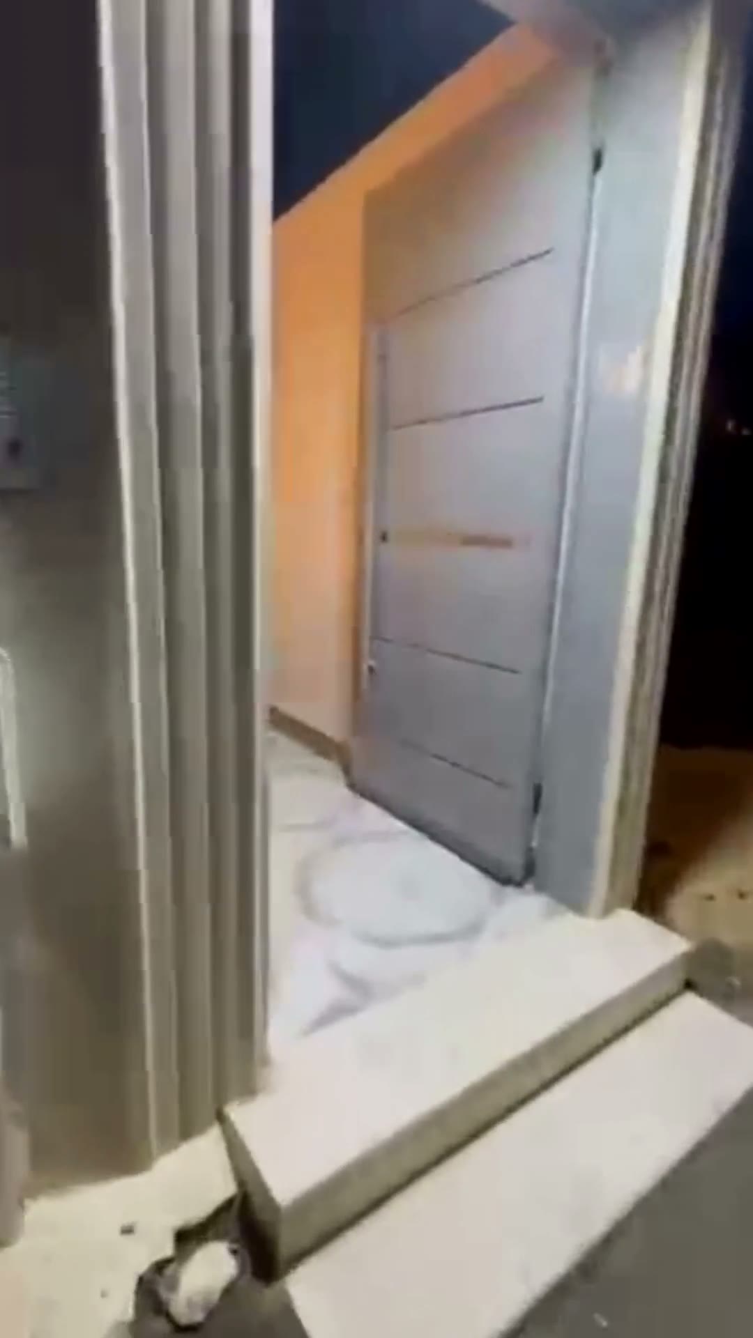 Videos