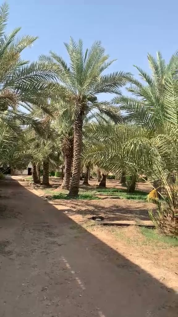  الفيديوهات