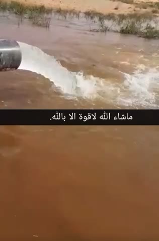  الفيديوهات