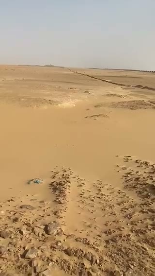 Videos
