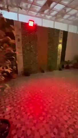  الفيديوهات