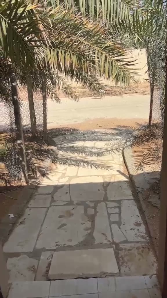 Videos