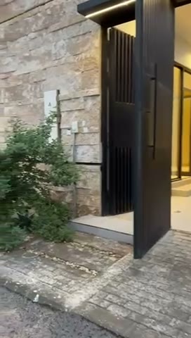  الفيديوهات