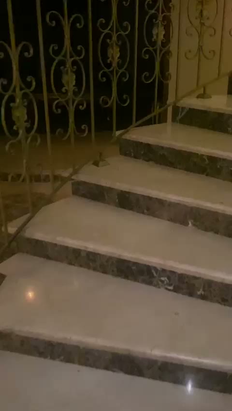Videos