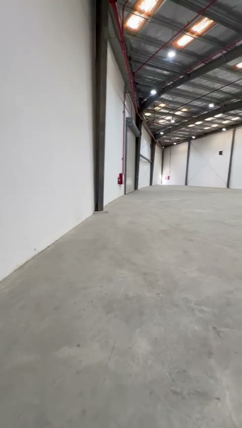 Videos