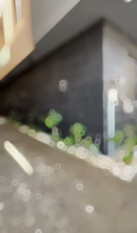 Videos