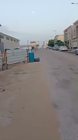 Videos
