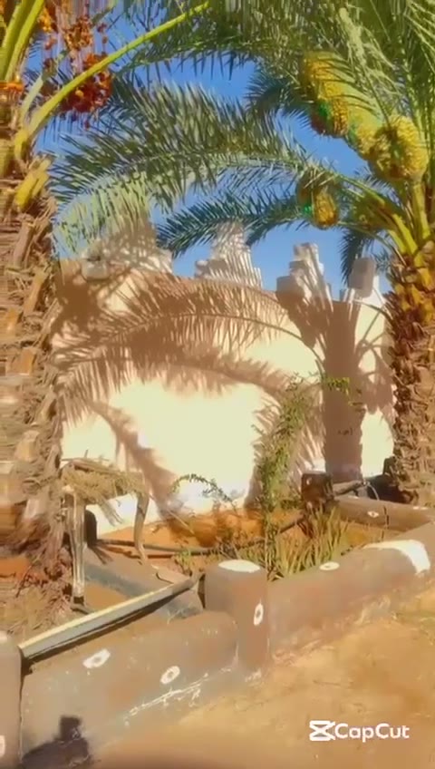 Videos