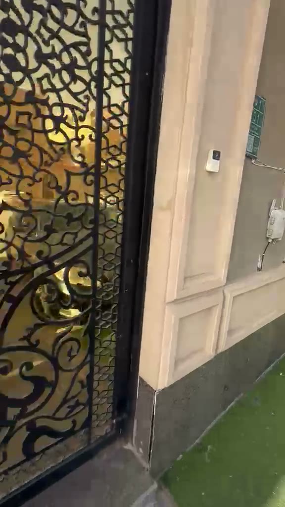  الفيديوهات