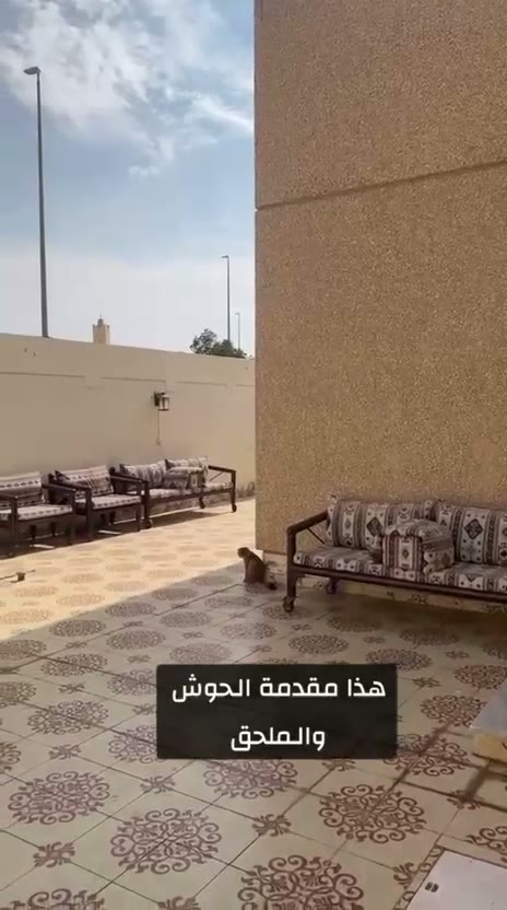  الفيديوهات