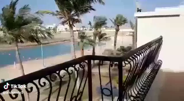  الفيديوهات