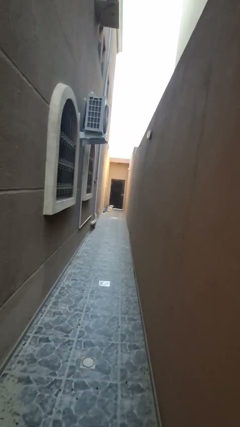 Videos