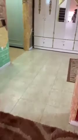 Videos