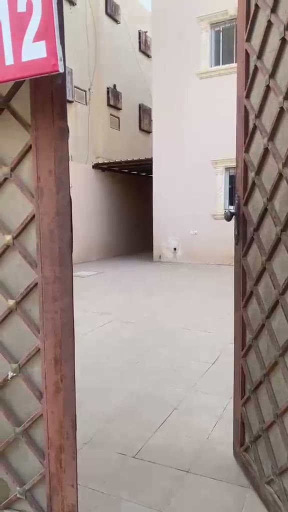 Videos