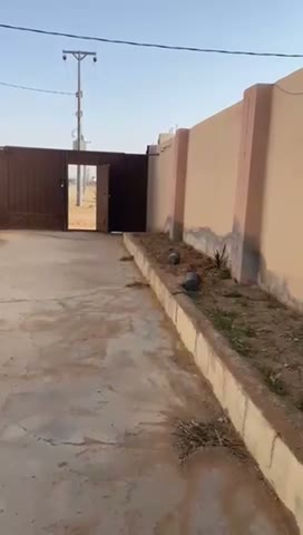  الفيديوهات