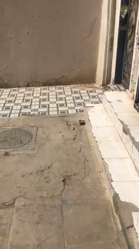  الفيديوهات