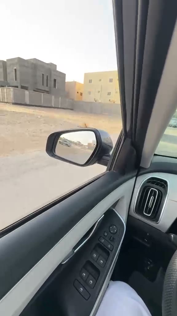  الفيديوهات